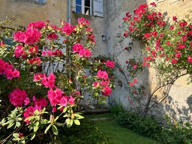 Le Clos De La Cathedrale Bazas Exteriér fotografie